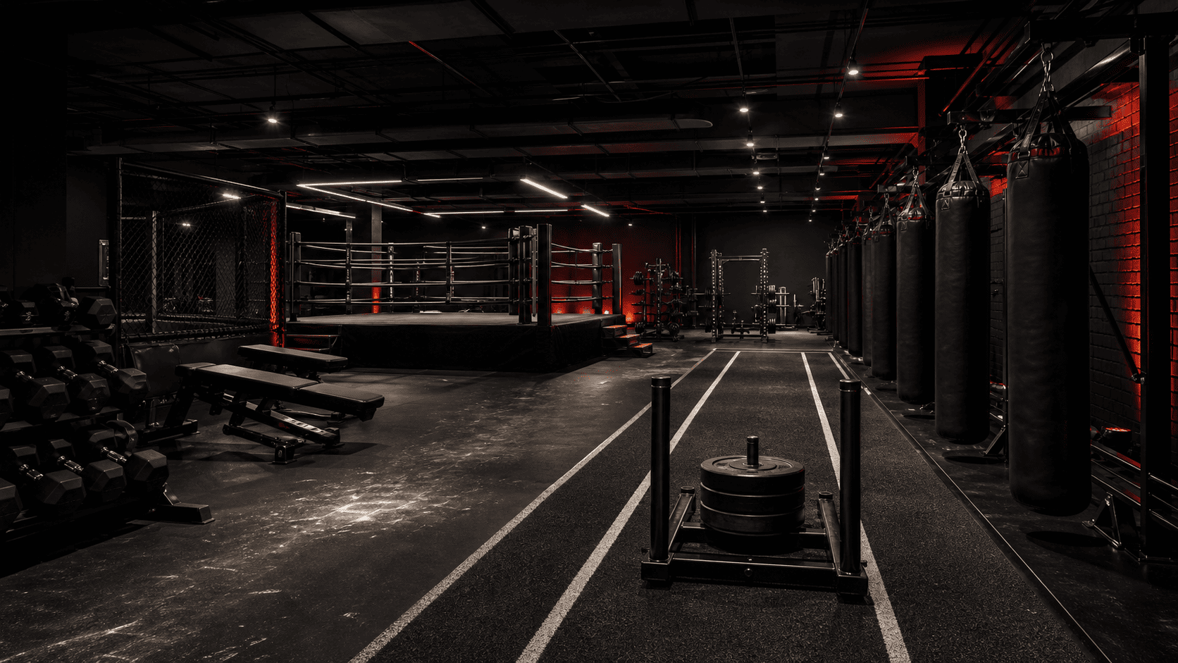 APEX combat and strength training floor